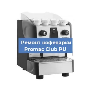 Чистка кофемашины Promac Club PU от накипи в Челябинске
